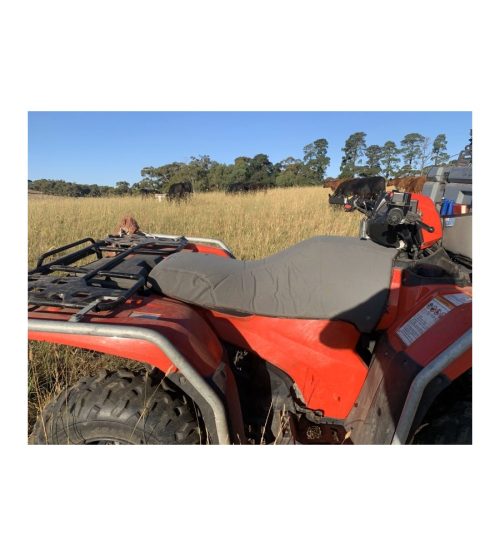 Honda TRX420 TM1 FM1 FM2 FA2 — photo 2