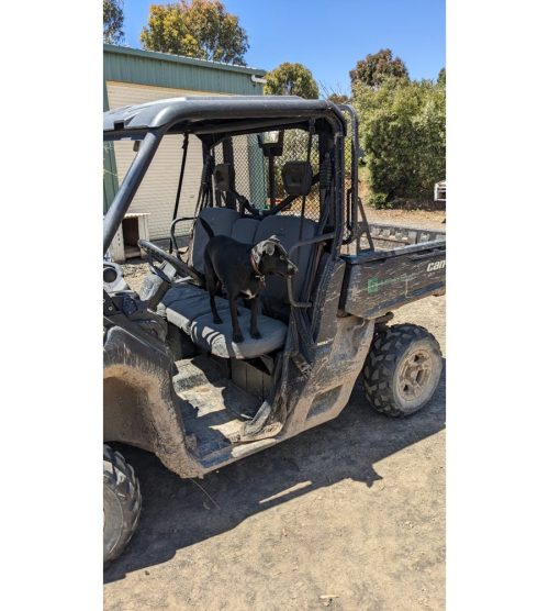 Can-Am DEFENDER SXS HD8 HD10 DPS and PRO — photo 7