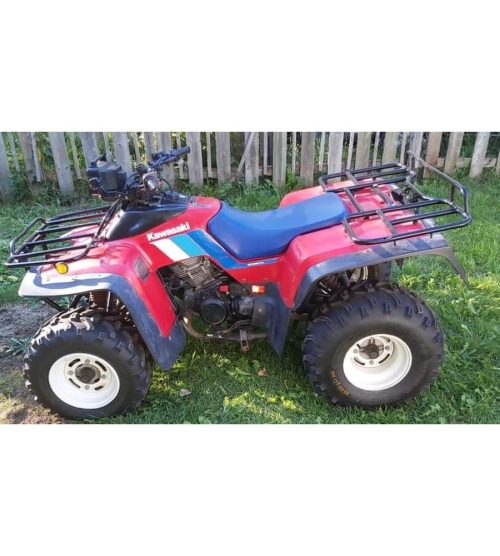 Kawasaki KLF300 Workhorse — photo 2