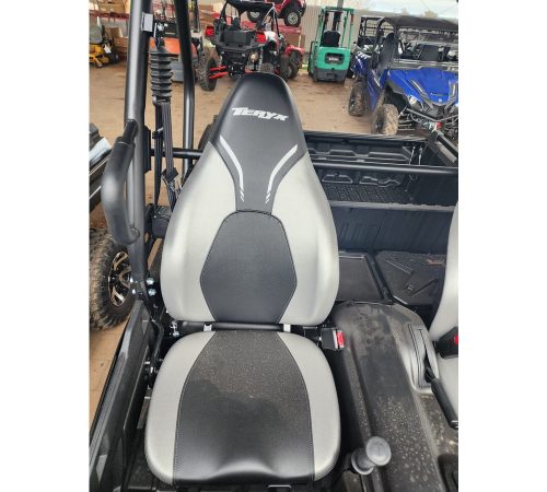 Kawasaki Teryx — photo 1