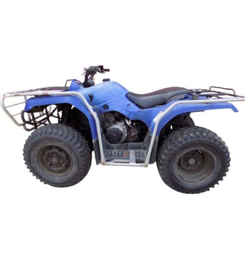 Yamaha YFM250/350 — photo 2