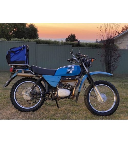 Yamaha AG100 — photo 2